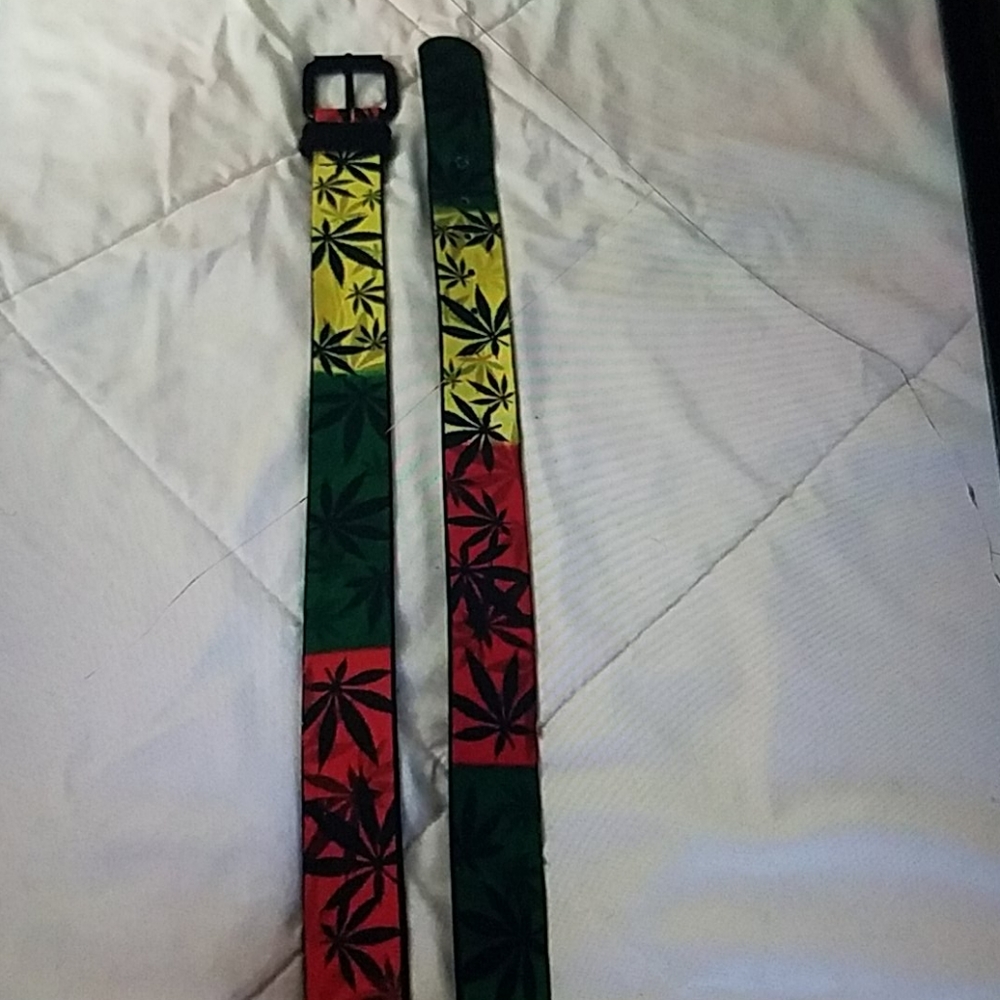 Belt - Picture 3 of 4